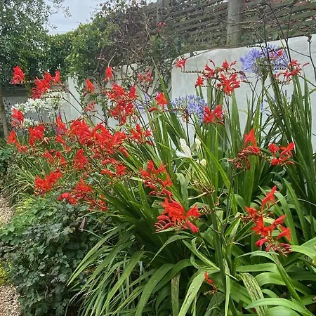Bed & Breakfast Penwyth House