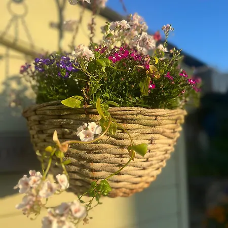 Bed & Breakfast Penwyth House Newquay (Cornwall)